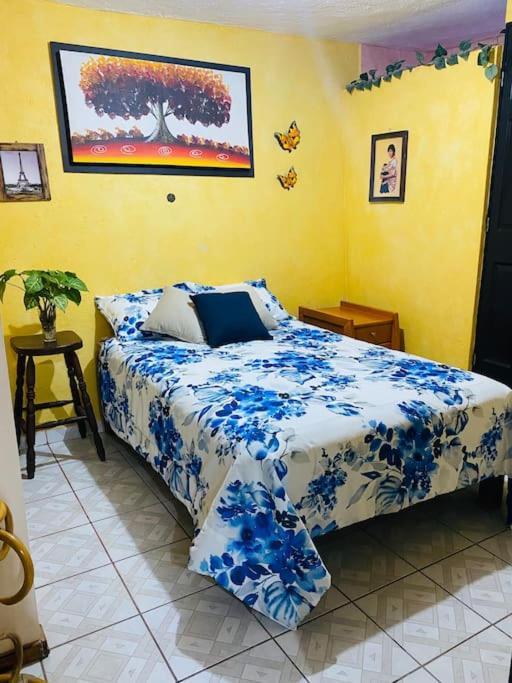 Casa Camilo - Cozy, Beautiful And Nice Separe Room San Miguel de Allende Dış mekan fotoğraf