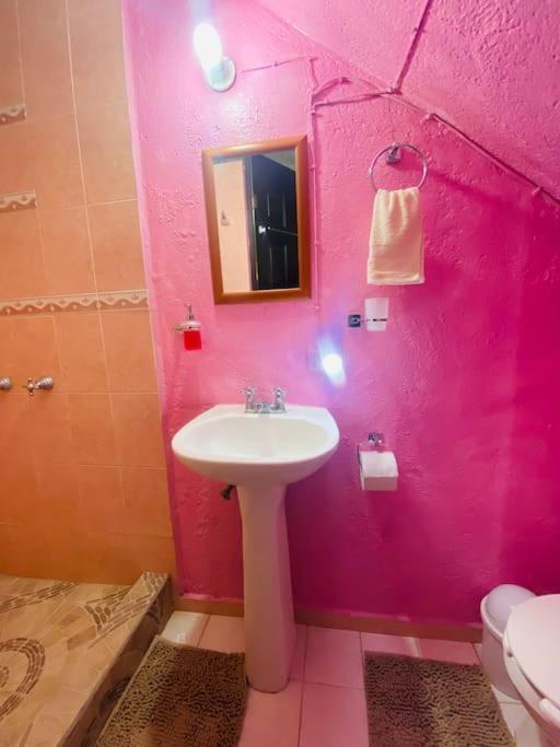 Casa Camilo - Cozy, Beautiful And Nice Separe Room San Miguel de Allende Dış mekan fotoğraf